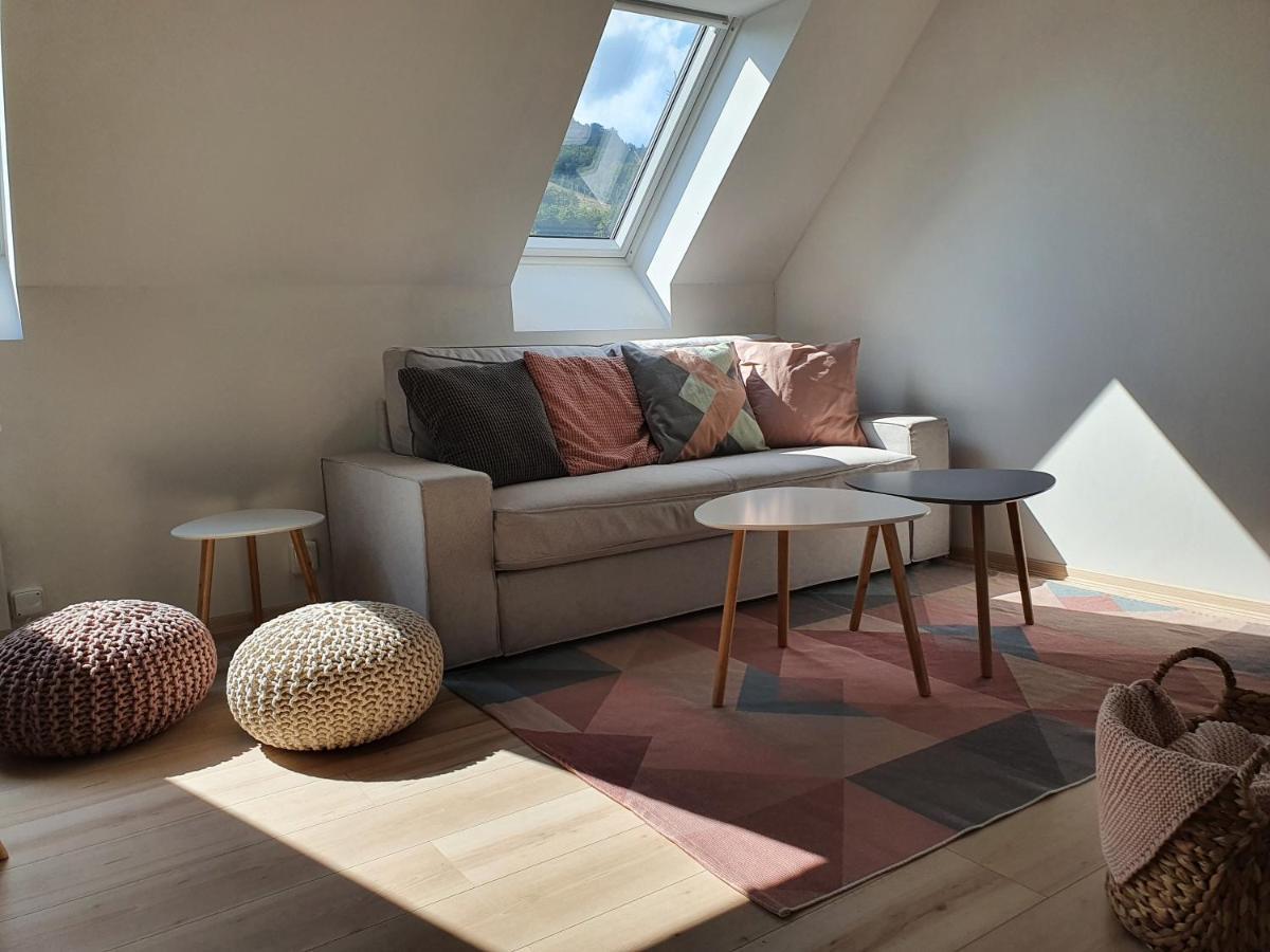 Apartmany Brachovna Mikulov v Krusnych Horach Dış mekan fotoğraf