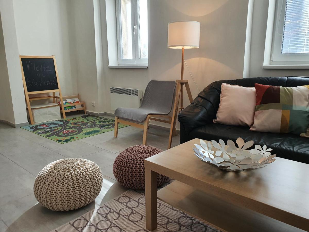 Apartmany Brachovna Mikulov v Krusnych Horach Dış mekan fotoğraf