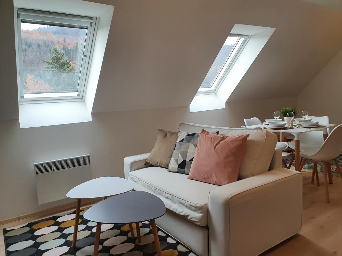 Apartmany Brachovna Mikulov v Krusnych Horach Dış mekan fotoğraf
