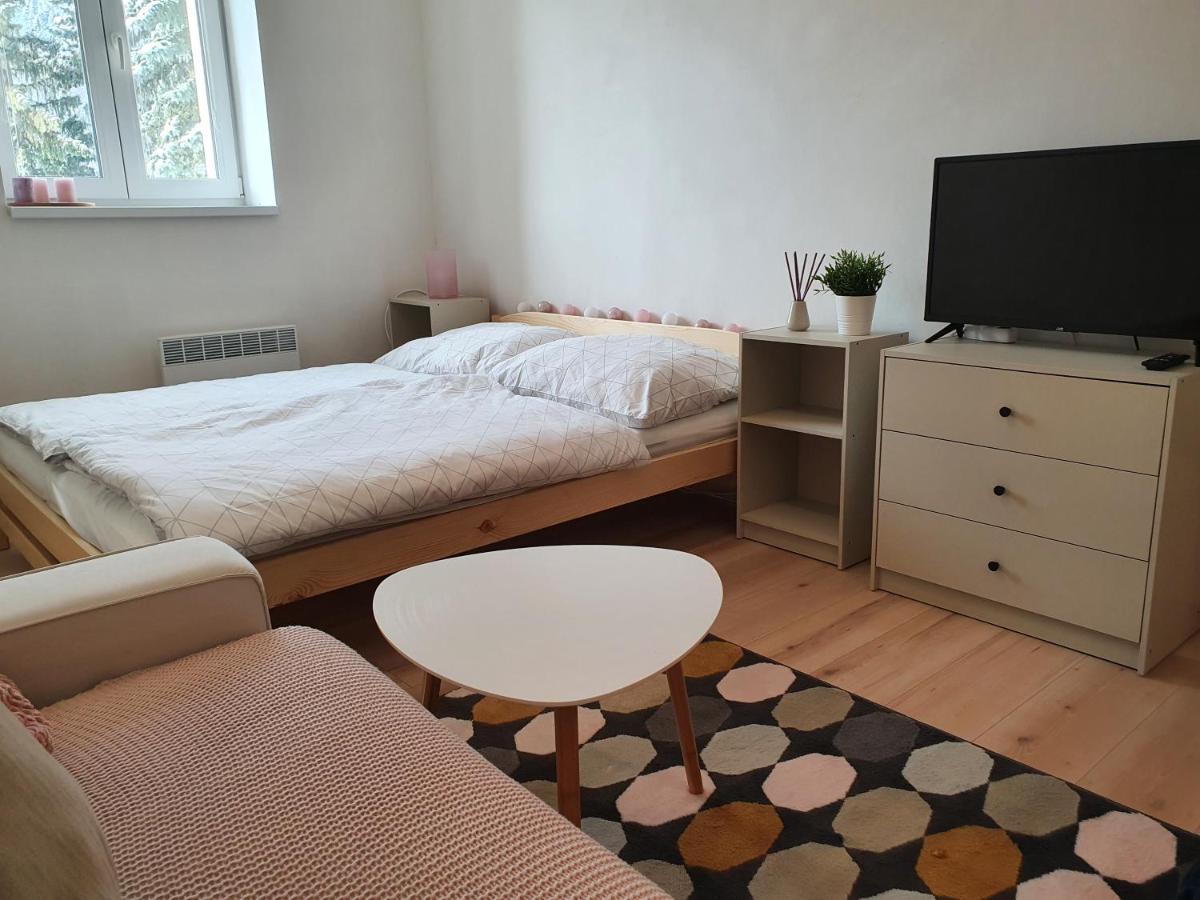Apartmany Brachovna Mikulov v Krusnych Horach Dış mekan fotoğraf
