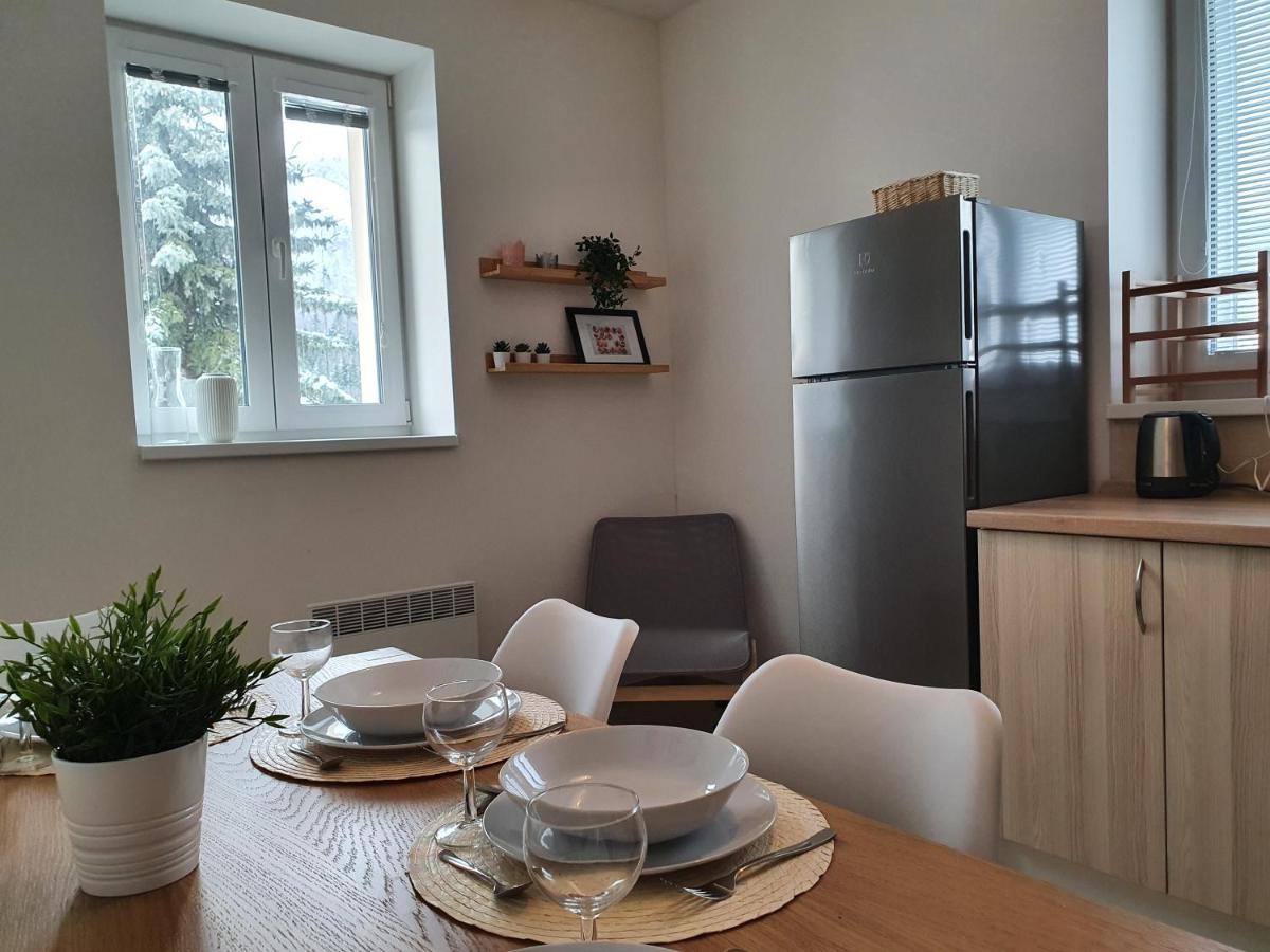 Apartmany Brachovna Mikulov v Krusnych Horach Dış mekan fotoğraf