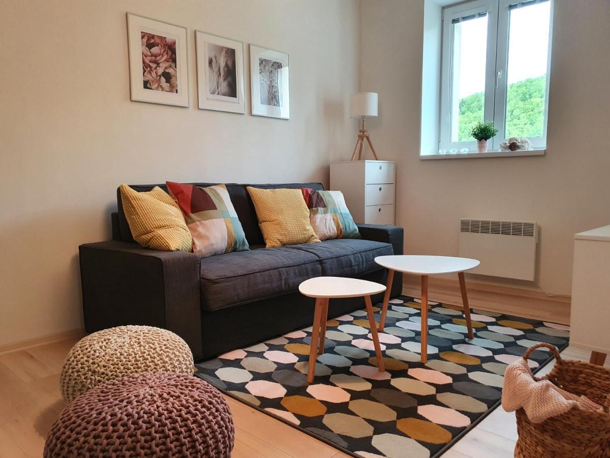 Apartmany Brachovna Mikulov v Krusnych Horach Dış mekan fotoğraf
